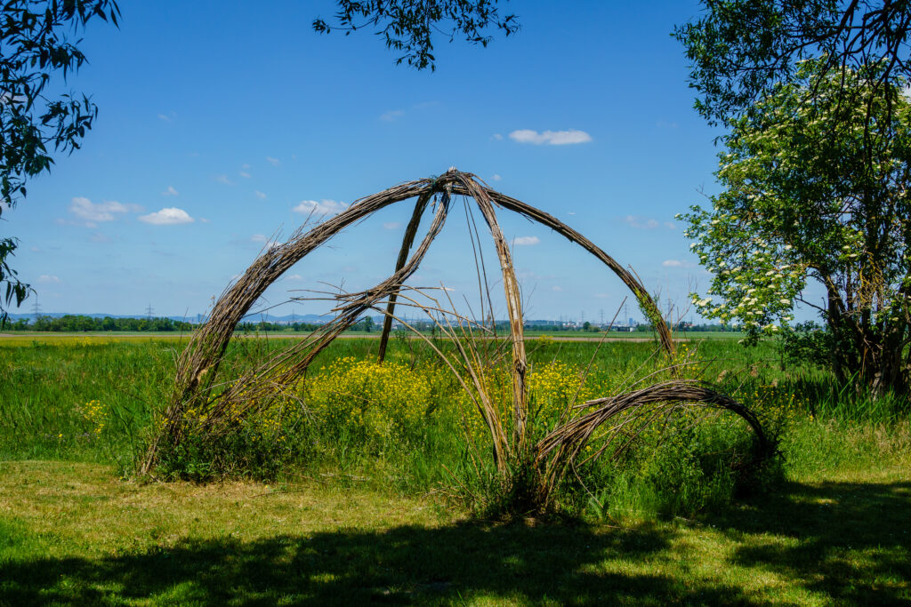 Natur-Skulptur