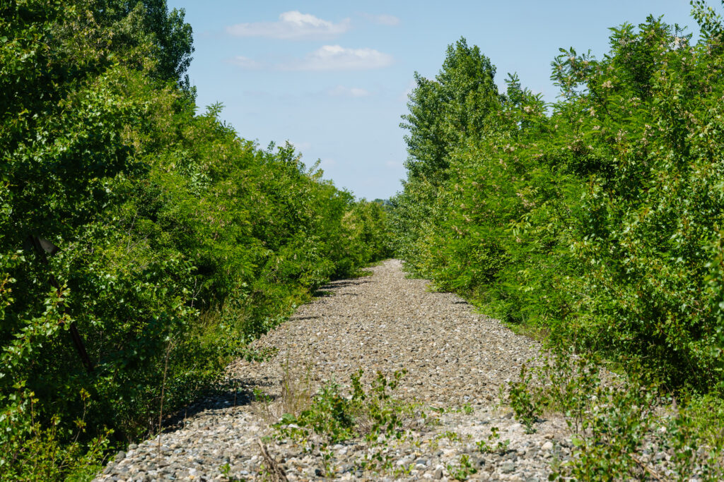 Was von der Bahn übrig blieb, holt sich die Natur zurück