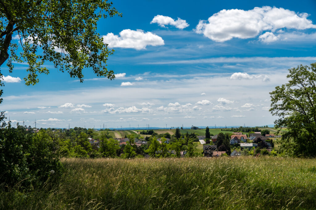 Welliges Weinviertel