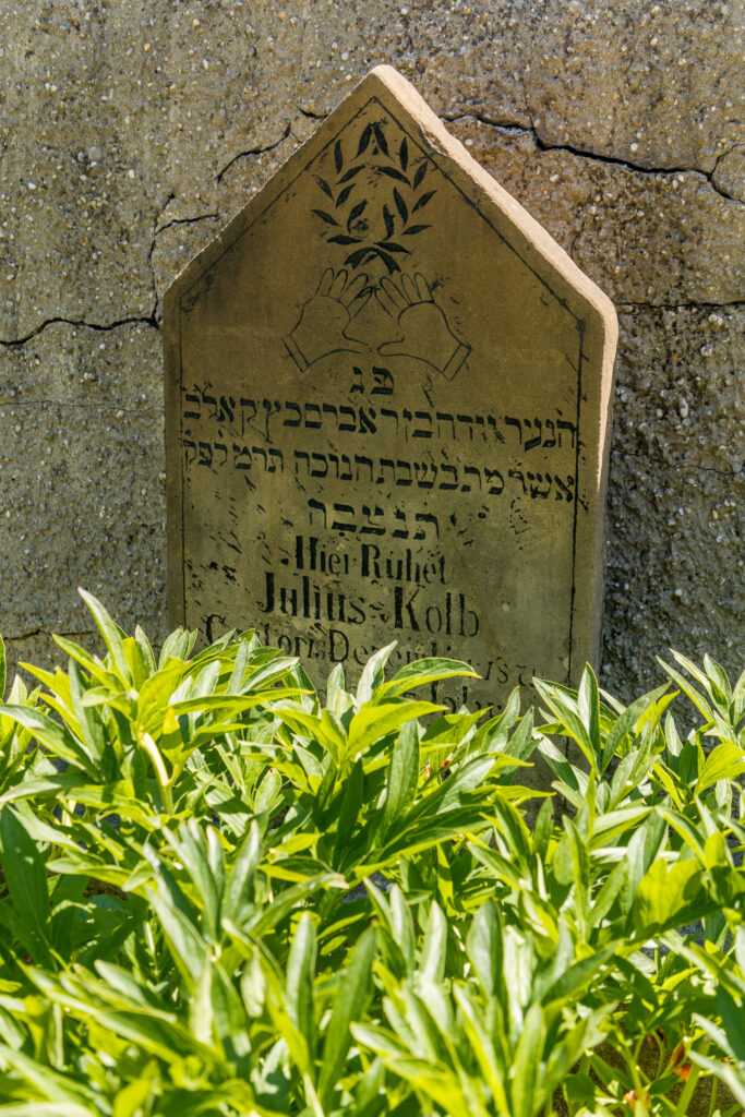 Julius Kolb