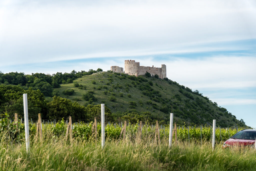 Ruine mit Aussicht