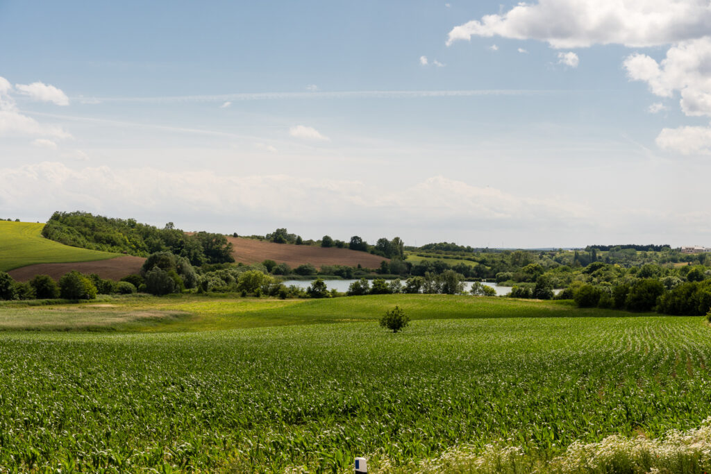 Das Hinterland von Breclav ist richtig hübsch