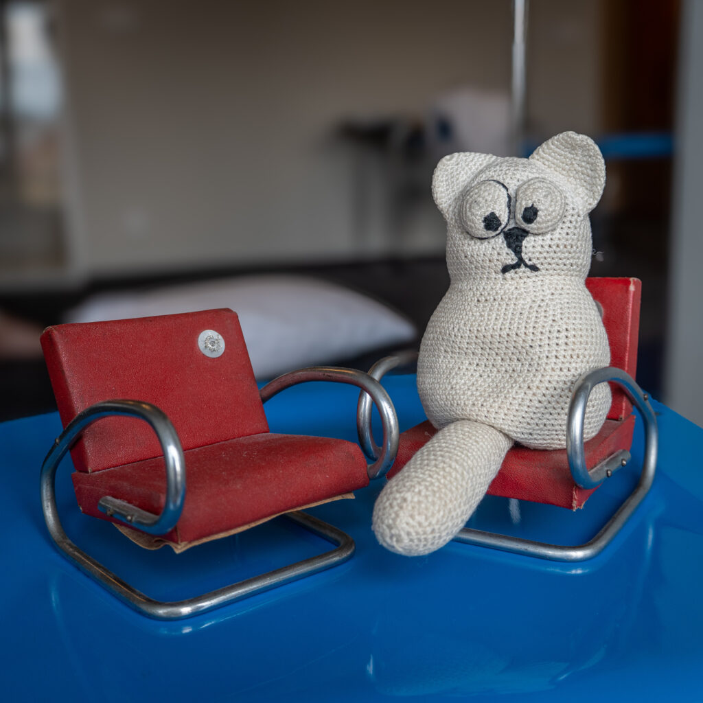 Die Katze im Bauhaus