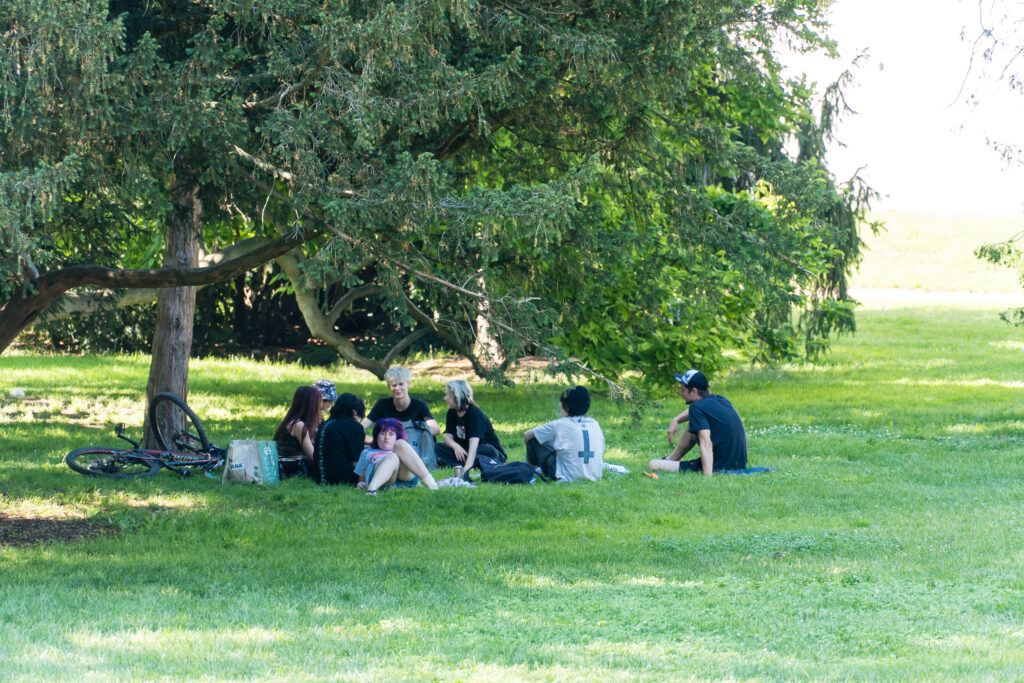 Heute gut: Picknick im Schatten