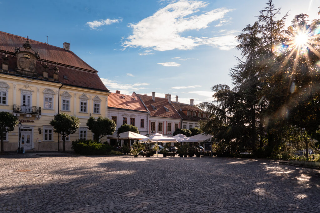 Platz mit Bäumen